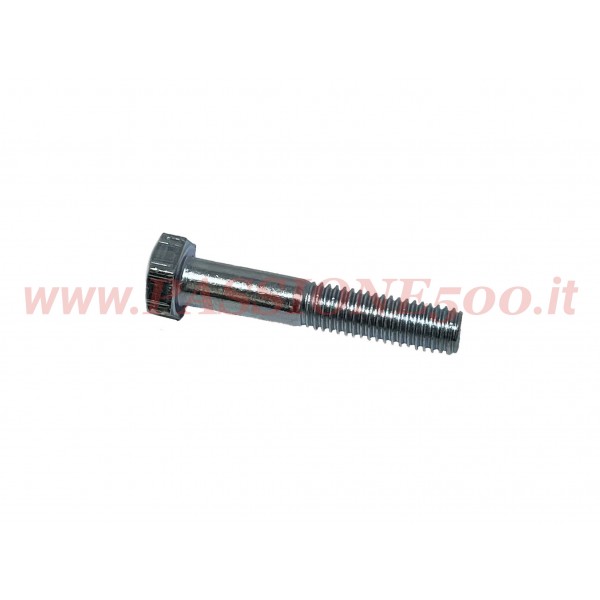 VITE FISSAGGIO GIUNTO ELASTICO SEMIASSI FIAT 500 F L R